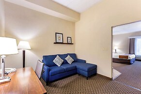 Comfort Suites Columbia Gateway