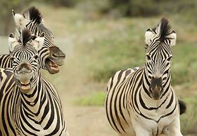 Sanbona Wildlife Reserve