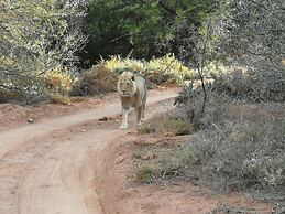 Sanbona Wildlife Reserve