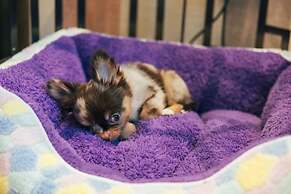 DoubleTree by Hilton Sukhumvit Bangkok