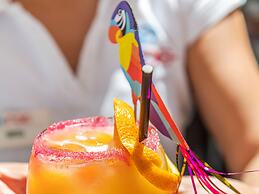 Apartamentos Roc Portonova