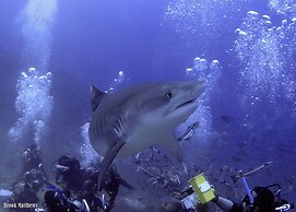 The Pearl Resort & Spa