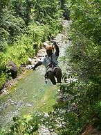 The Pearl Resort & Spa