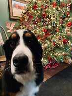 The Inn At Turkey Hill