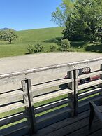 The Wildflower Inn