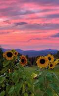 The Wildflower Inn