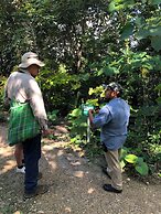 San Ignacio Resort Hotel