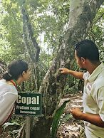 San Ignacio Resort Hotel