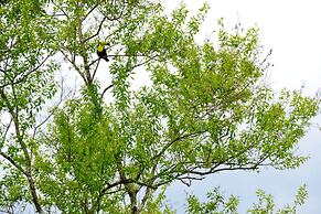 San Ignacio Resort Hotel