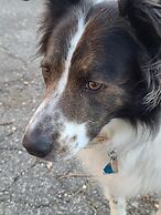 House of 1833 Bed & Breakfast & Gardens