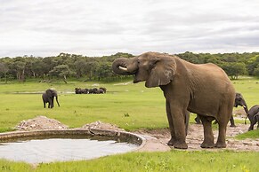 Hwange Safari Lodge