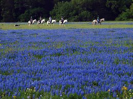 BlissWood B&B Ranch