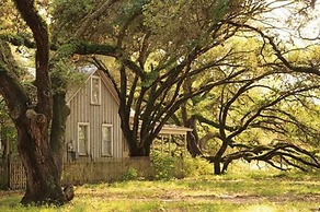 BlissWood B&B Ranch
