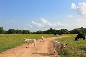 BlissWood B&B Ranch