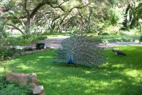 BlissWood B&B Ranch