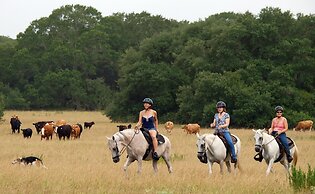 BlissWood B&B Ranch