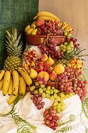 Hotel Canyamel Classic - Adults Only