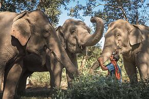 Anantara Golden Triangle Elephant Camp & Resort