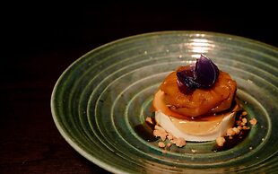 Anantara Golden Triangle Elephant Camp & Resort