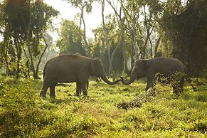 Anantara Golden Triangle Elephant Camp & Resort