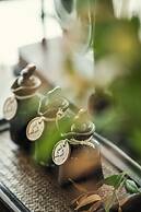 Anantara Golden Triangle Elephant Camp & Resort