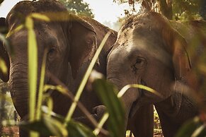 Anantara Golden Triangle Elephant Camp & Resort