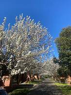 Mt Waverley Townhouses