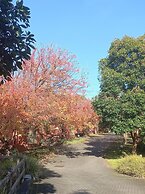 Mt Waverley Townhouses
