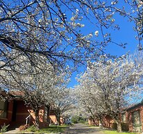 Mt Waverley Townhouses