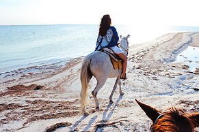 Casa Las Tortugas Petit Beach Hotel & Spa
