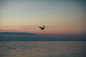 Casa Las Tortugas Petit Beach Hotel & Spa