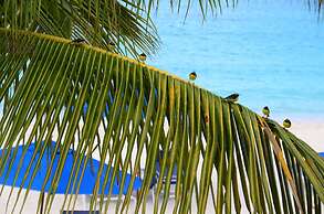 Shoal Bay Villas