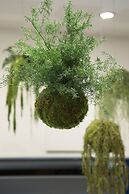 The Playce Hotel & Bar by Happyculture