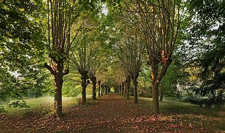 Le Moulin De Connelles