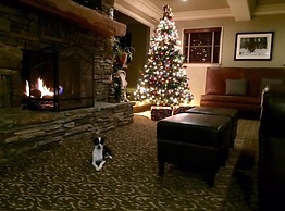 The Mammoth Creek Inn