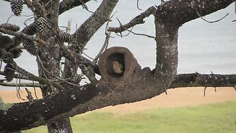 Baie des Anges Apart Hotel & Spa