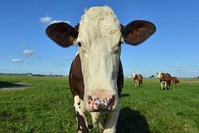 Hotel Gasthof Moosleitner