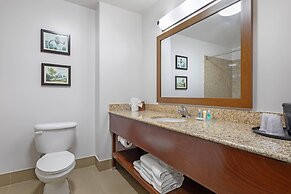 Comfort Suites DFW North/Grapevine
