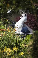 La Mare aux Oiseaux, The Originals Collection