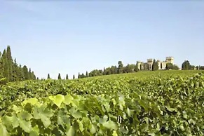 Chateau Des Fines Roches