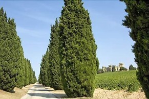 Chateau Des Fines Roches