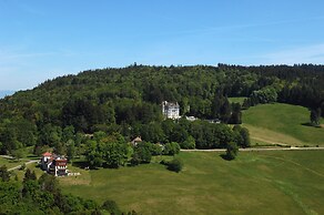 Château des Avenieres