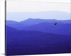 Douglas Inn & Suites