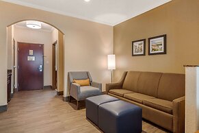 Comfort Suites Baytown I - 10