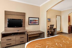 Comfort Suites Baytown I - 10