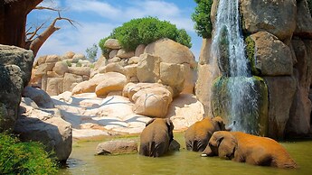 Hotel Neptuno Playa & Spa