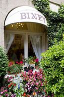 Hotel Biney
