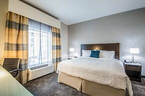 Fairfield Inn & Suites by Marriott Denver Downtown