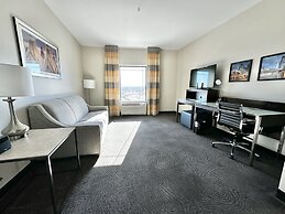 Fairfield Inn & Suites by Marriott Denver Downtown