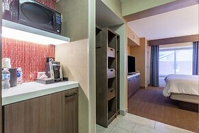 Hilton Garden Inn Chicago/Tinley Park